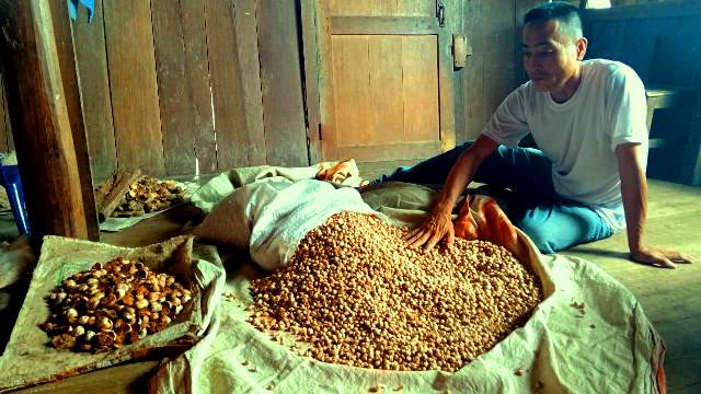 Lesu, harga jual Kapulaga dan buah pinang di Kecamatan Idanotae belum juga naik setelah sempat di harga Rp250 ribu perkilogram. HEZISOKHI LAROSA/BALUSENIAS.COM