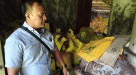 Personel Unit Tindak Pidana Tertentu Satuan Reserse Kriminal Polres Nias melakukan olah TKP di lokasi yang menjadi pembuangan limbah medis RS Bethesda. HUMAS POLRES NIAS/BALUSENIAS.COM 