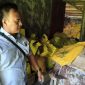 Personel Unit Tindak Pidana Tertentu Satuan Reserse Kriminal Polres Nias melakukan olah TKP di lokasi yang menjadi pembuangan limbah medis RS Bethesda. HUMAS POLRES NIAS/BALUSENIAS.COM 
