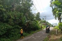 Tim Perintisan PLN UP3 ULP Gunungsitoli sedang membersihkan jalur pasokan listrik di Desa Sisobahili, Kecamatan Hiliduho, Kabupaten Nias pada Kamis, 5 Juni 22025. AVRIL LAOLI/BALUSENIAS.COM