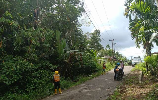Tim Perintisan PLN UP3 ULP Gunungsitoli sedang membersihkan jalur pasokan listrik di Desa Sisobahili, Kecamatan Hiliduho, Kabupaten Nias pada Kamis, 5 Juni 22025. AVRIL LAOLI/BALUSENIAS.COM